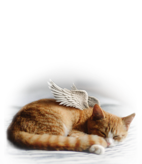 Euthabag-logo