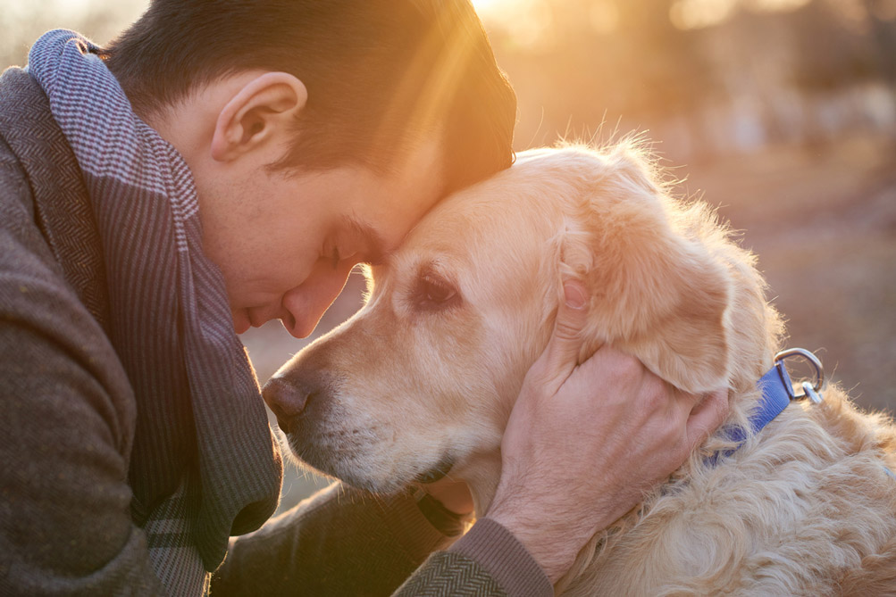 Pet-Loss-Support-Resources