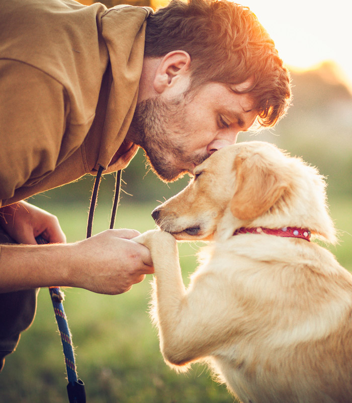 dog-care In-Home Veterinary Hospice Services Victoria BC