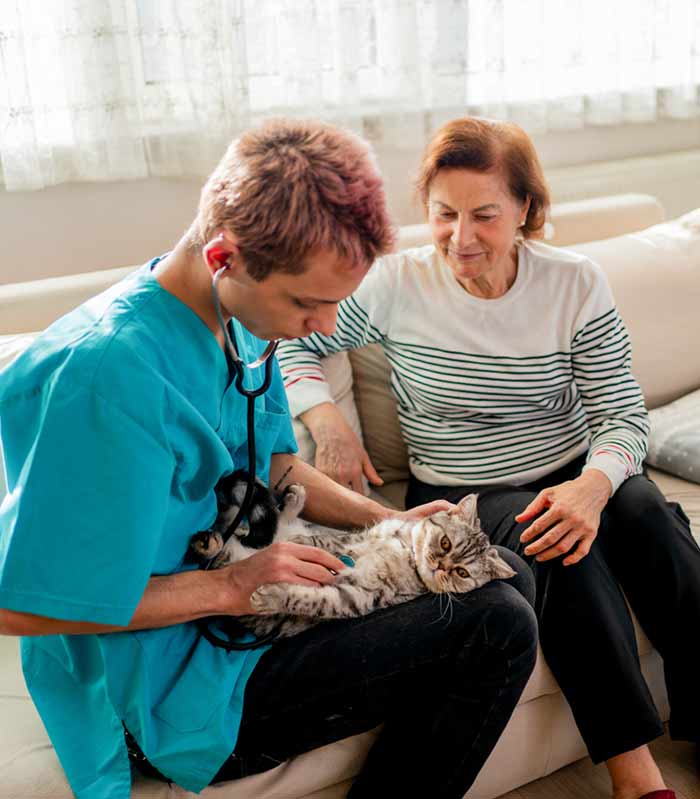 hospice-care