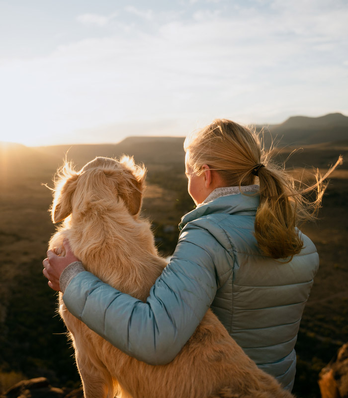pet-care-Veterinary