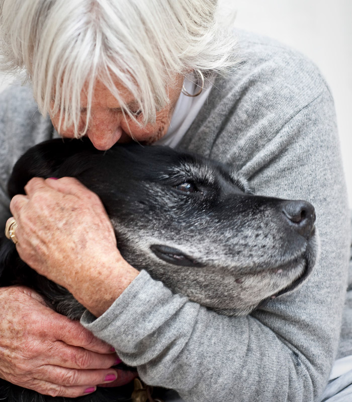 pet-hospice-care