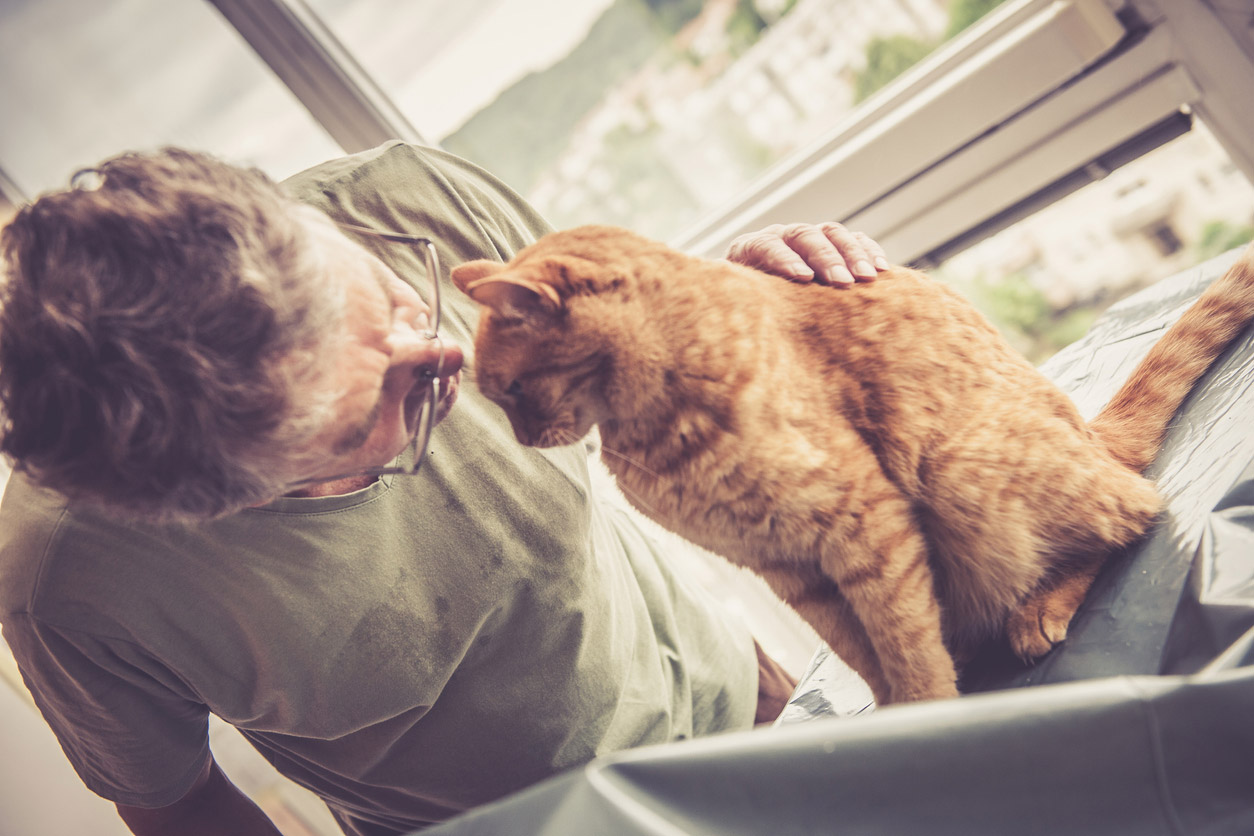 senior-cat-care Cat In-Home Veterinary Hospice Services Victoria BC